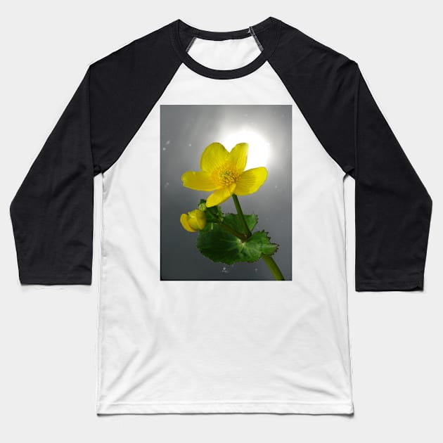 Marsh Marigold Baseball T-Shirt by AH64D